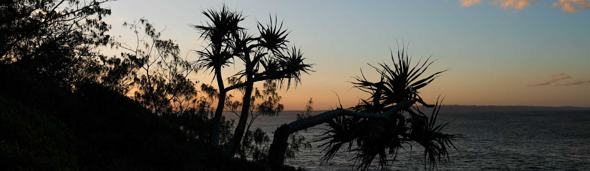 Transfers To Noosa Partners